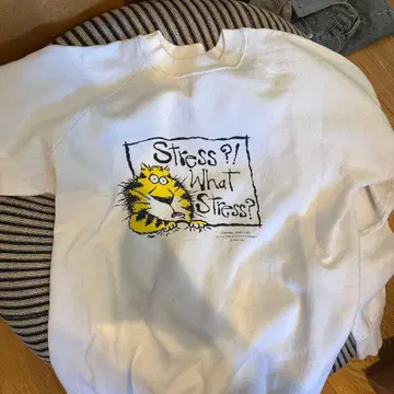 FRUITStress?! What Stress? XL 맨투맨 90s