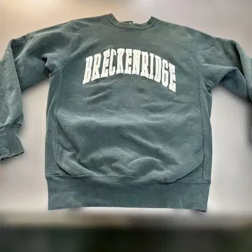 USA제 리버스 위브 맨투맨