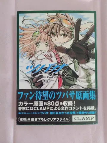 츠바사 A TERRITORY GUIDE 원화집