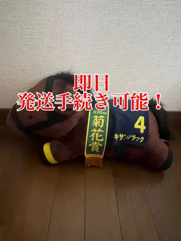 서러브레드 컬렉션 누워있는 초 BIG 봉제 인형 키타산 블랙