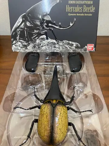 생물대도감 프리미엄 헤라클레스 헤라클레스 새상품급