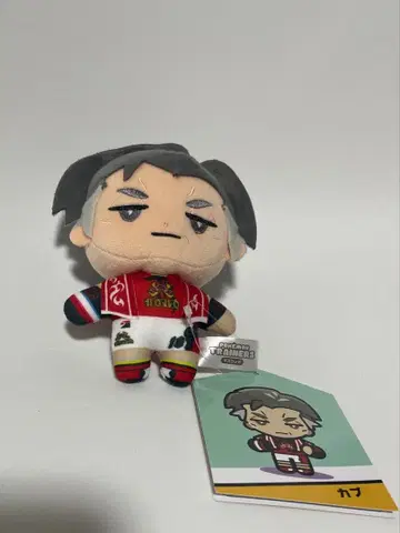 포켓몬 봉제 인형 트레이너즈 카부 포켓몬 센터