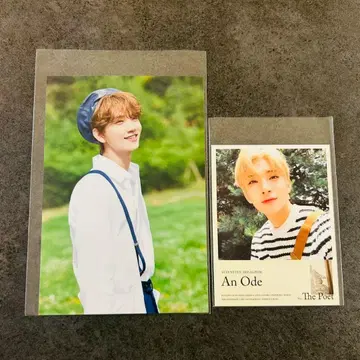 세븐틴 컨셉 존 조슈아