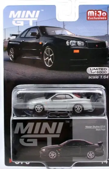 스카이라인 GT-R (R34) V 스펙 (블랙 펄) 체이스카