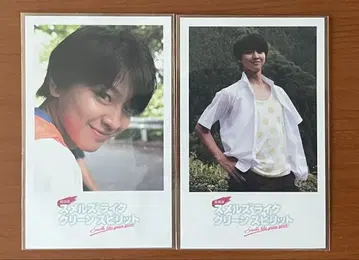 Smells Like Green Spirit 후지모토 코다이 포토 카드