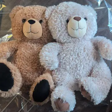 [택 포함] 빅 사이즈 곰 봉제 인형