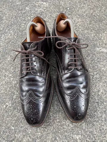 REGAL 다크 브라운 윙 칩 드레스 신발