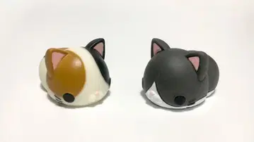 모니마루즈 치즈태비 고양이