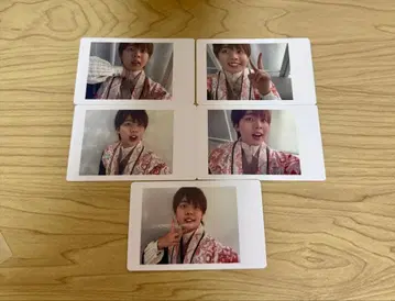 팬더드래곤 나기 하피카 설월화 (특별반)