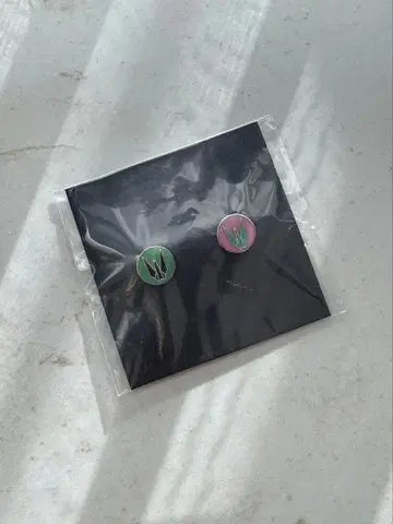 도쿄사변 2005 핀즈