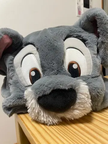 [ 가격 인하 가능 ] 아리스토캣츠 카드놀이 팬 캡