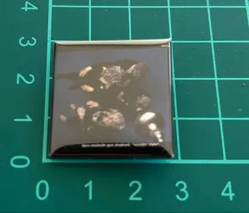 미셸 건 엘리펀트 배지