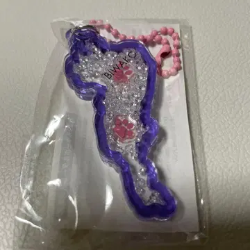 비와코 키링 시가현 휴게소 한정판