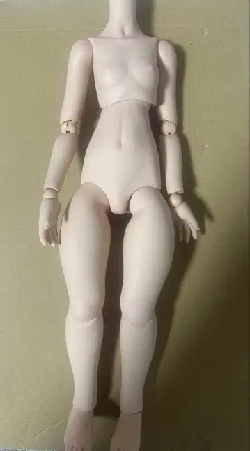 MDD 모치아시 바디(DD-f3) 관절, 혈색 있음