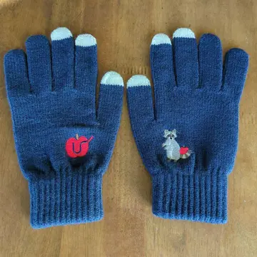 UNISONSQUAREGARDEN 장갑