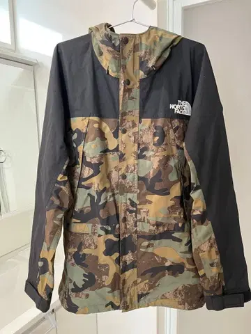 THE NORTH FACE 고어텍스 마운틴 후드티 자켓