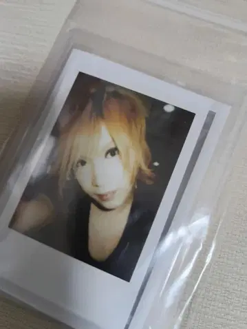 골든 봄버 금폭 키류인 쇼 폴라로이드 사진 새상품급