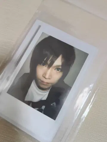 골든 폭격기 금폭 키류인 쇼 폴라로이드 사진 새상품급