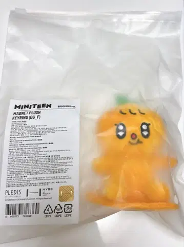 SEVENTEEN MINITEEN 승관 부규리 마그넷 키링