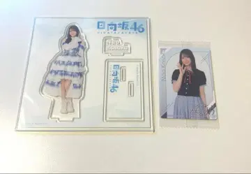 코사카 나오 ( 아크릴 스탠드, 캔뱃지, 브로마이드 )