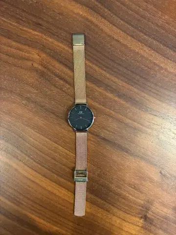 Danielwellington 시계