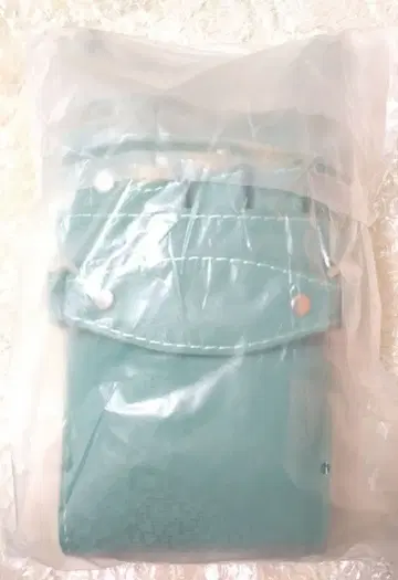 가위집 파우치 컬러 그린