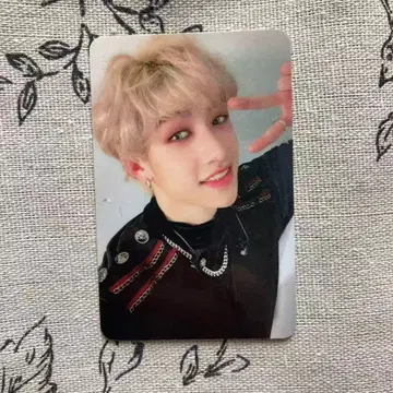 Straykids 스키즈 I am you 대만 방찬 트레이딩 카드