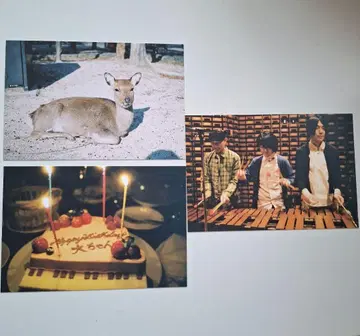 후지 패브릭 엽서 3매 세트