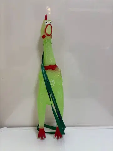 GReeeeN 라이브 굿즈 빅미조