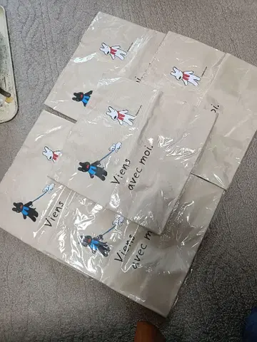 미사용 새상품 [선착순] Pasco 경품 리사와 가스파르 낱개 판매 가능