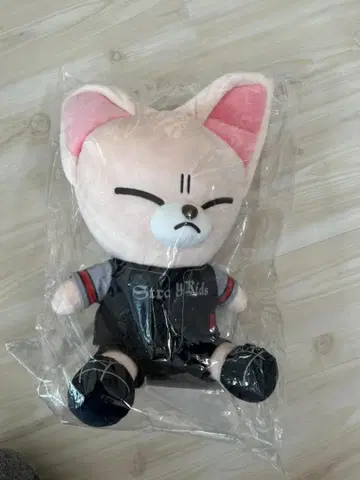 미개봉 공식 StrayKids 스키즈 스타디움 봉제 인형 폭시니