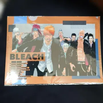BLEACH THE LOCUS OF BRAVE 클리어 파일 호정 고등학교