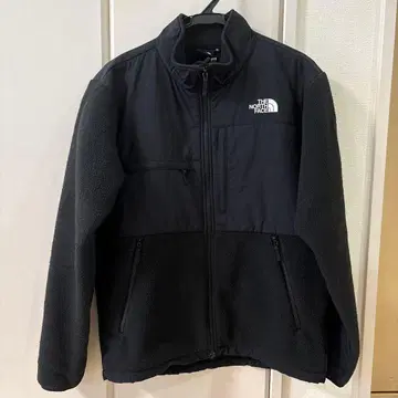 THE NORTH FACE 데날리 자켓 M 블랙