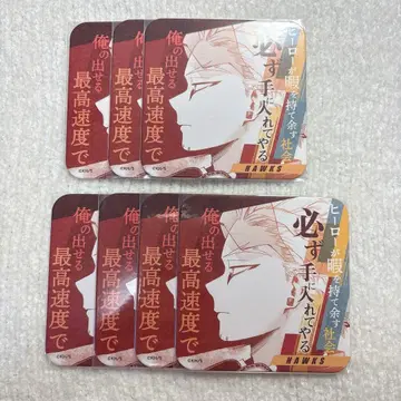 히로아카 아트 코스터 호크스