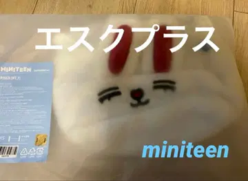 seventeen 세부치 miniteen 에스크 파우치 승철