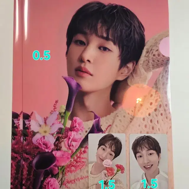 온유 일본앨범 사쿠 클리어파일 포카