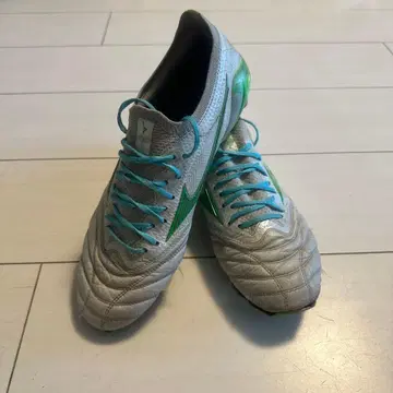 모렐리아 네오 4 베이