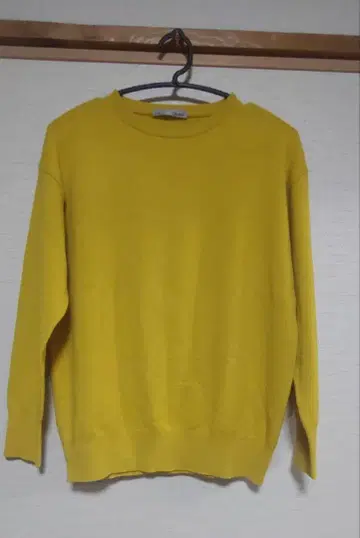 루피봇 니트 겨자