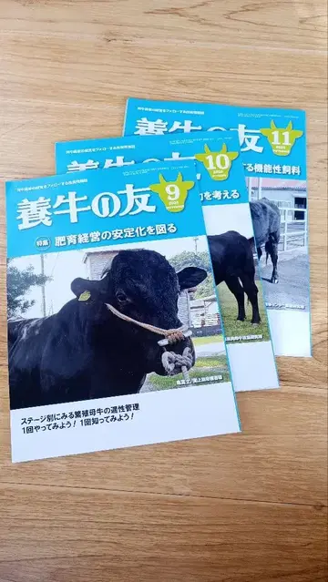 양우의 벗 2025년 9, 10, 11월 3권 세트