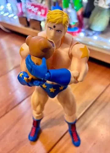 S.H.Figuarts 테리맨