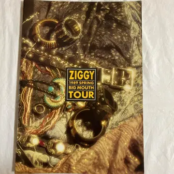 ZIGGY 1989 SPRING BIG MOUTH TOUR