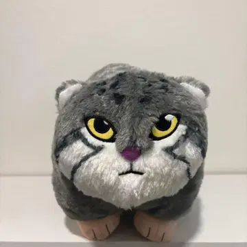 FANS 마눌고양이 봉제 인형 XL 프리미엄