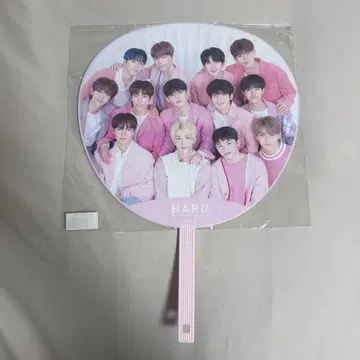 세븐틴 집합 부채 하루