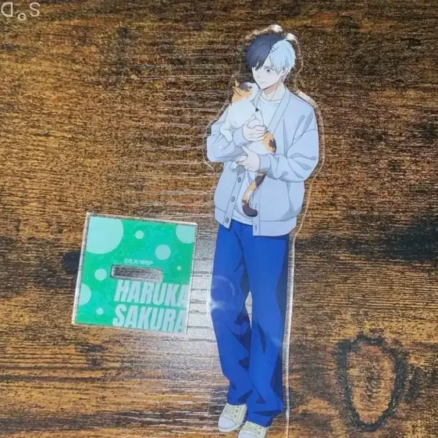 윈브레 사쿠라 하루카 마네키네코 아크릴 스탠드 / 윈드브레이커