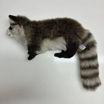 리얼 너구리 봉제 인형 HANSA