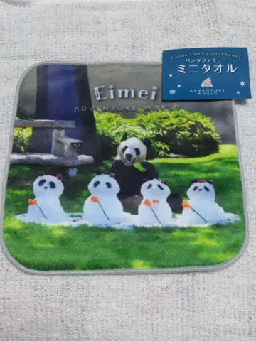 어드벤처 월드 영명 미니 타월