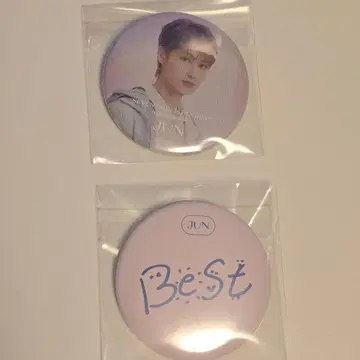 seventeen 세부치 always yours 캔뱃지 준