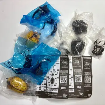 생물대도감 투구벌레 사슴벌레 3개 세트