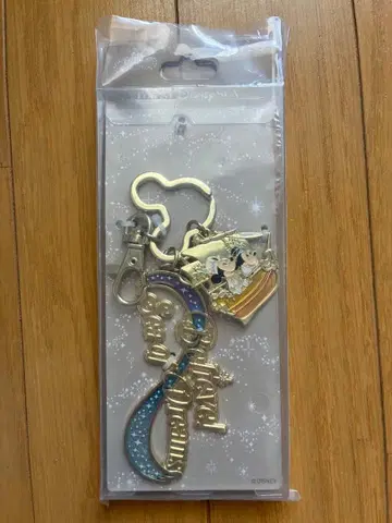 빌리브! 씨 오브 드림스 키체인