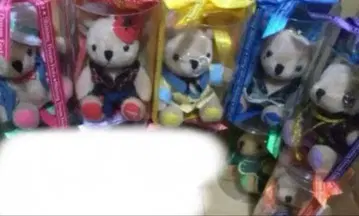 우타프리 곰프리 샤니페스 샤니돌 ST RISH 16일까지